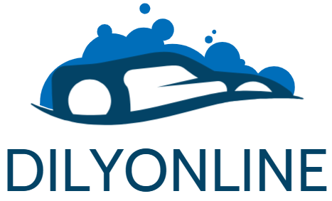 dilyonline.com
