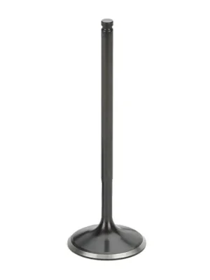 Jen Po Omezenou Doba Vzduchový ventil Black Nitrided SuperTech Honda S2000 F20 (+0.5mm Flat)